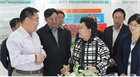 市委副書記、代市長艾麗華來我公司考察、調(diào)研